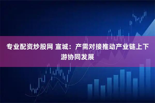 专业配资炒股网 宣城：产需对接推动产业链上下游协同发展